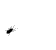 InsectMoving.gif