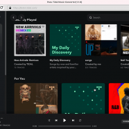 Pazu Tidal Music Converter sc.png