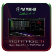 Yamaha Expanded Softsynth Plugin for MONTAGE M.png