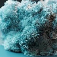 Rebelway - Abstract FX in Houdini Using Karma.jpg