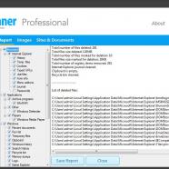 WebMinds FileCleaner Pro sc.jpg
