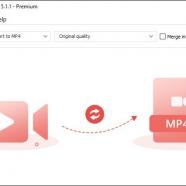Free MP4 Video Converter screen.jpg