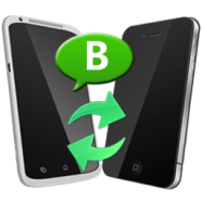 Backuptrans WhatsApp Business Transfer.png