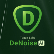 denoiselogo-1.png