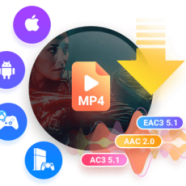 DiscoveryPlus Video Downloader.png