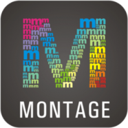 WidsMob Montage.png