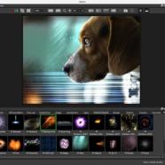 Visual-FX-demo-optics-2022-800x444.jpeg