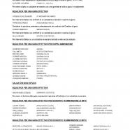 CU_142_9R-4-9_page-0003.jpg