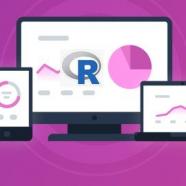 Graphics In R Data Visualization And Data Analysis With R.jpg