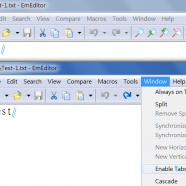 Emurasoft EmEditor screen.png