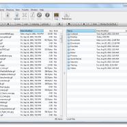 Maxprog FTP Disk screen.jpg