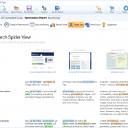 Blumentals Rapid SEO Tool screen.png