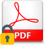 PDF Protector.png
