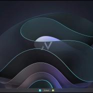 Nexus LiteOS x64 sc.jpg