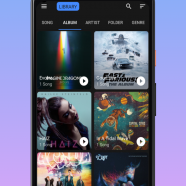 Lossless Music Player sc.png