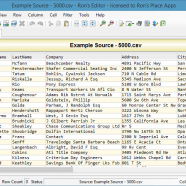 Rons Editor screen.png
