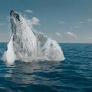 Rebelway - Water FX in HoudiniThe Ultimate Guide to Water Simulation in Houdini.jpg