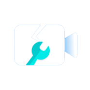Vidmore Video Fix.png