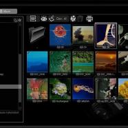 Stepok Light Developer screen.jpg