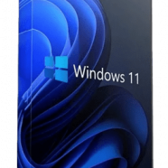 Windows 11 23H2.png