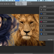 Adobe Photoshop screen.png