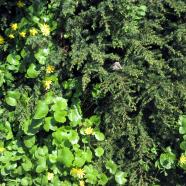 IMG_0171.jpg