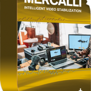proDAD Mercalli V6 SAL.png
