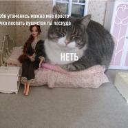 6sUzVjDxD3A.jpg