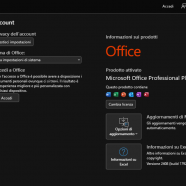 Microsoft Office Professional Plus 2024 sc it.png