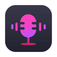 Viwizard Audio Capture.png