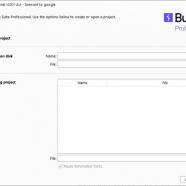 Burp Suite screen.jpg