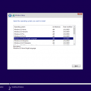 Windows 11 AIO 16in1 24H2 1.png