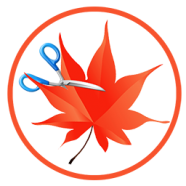 Easy Cut Studio.png