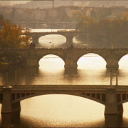 vlcsnap-2019-10-16-03h50m42s268.png