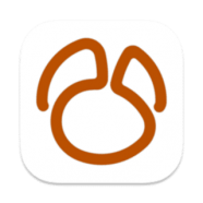 Navicat for MongoDB.png