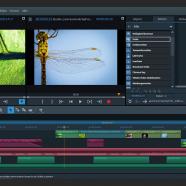 MAGIX Video Pro x screen.jpg