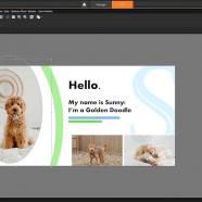 Corel PaintShop Pro screen.jpg
