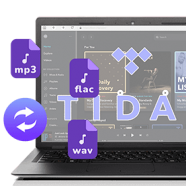 Pazu Tidal Music Converter 1.png