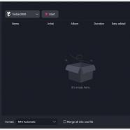 Viwizard Audio Capture sc.jpg