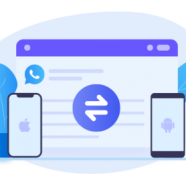 transfer-whatsapp.png