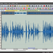Diamond Cut Forensics10 Audio Laboratory screen.png