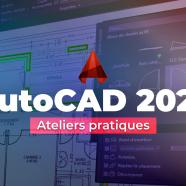 Autocad 2020 - Ateliers Pratiques.jpeg