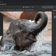 Adobe Photoshop 2022 screen.png