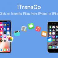 InsertPic_C98C-480x320.jpg