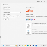 Windows 11 Pro 24H2 + office 24 sc2.png