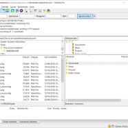 FileZilla Pro screen.png