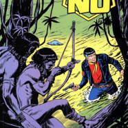 cover.png