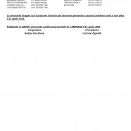 comunicato-ufficiale-n.-80-2020-2021-1_page-0008.jpg