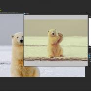 WildBit Viewer sc.jpg