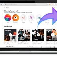 Pazu Deezer Music Converter 1.png
